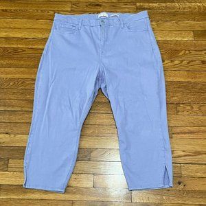 JEN 7 by 7 For All Mankind Capri Jeans Women's Size 20 Purple High Rise Capris